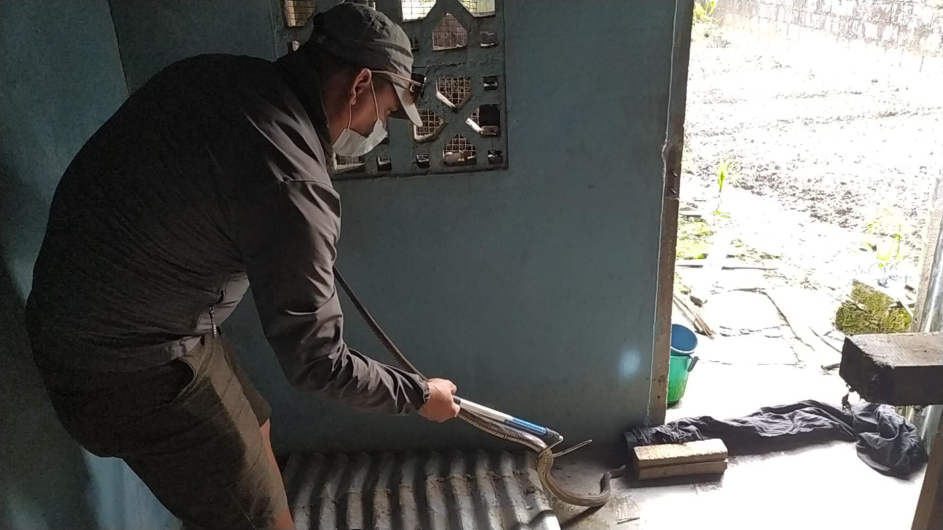 Snake Rescue and Release Project for Conflict Mitigation and Conservation
