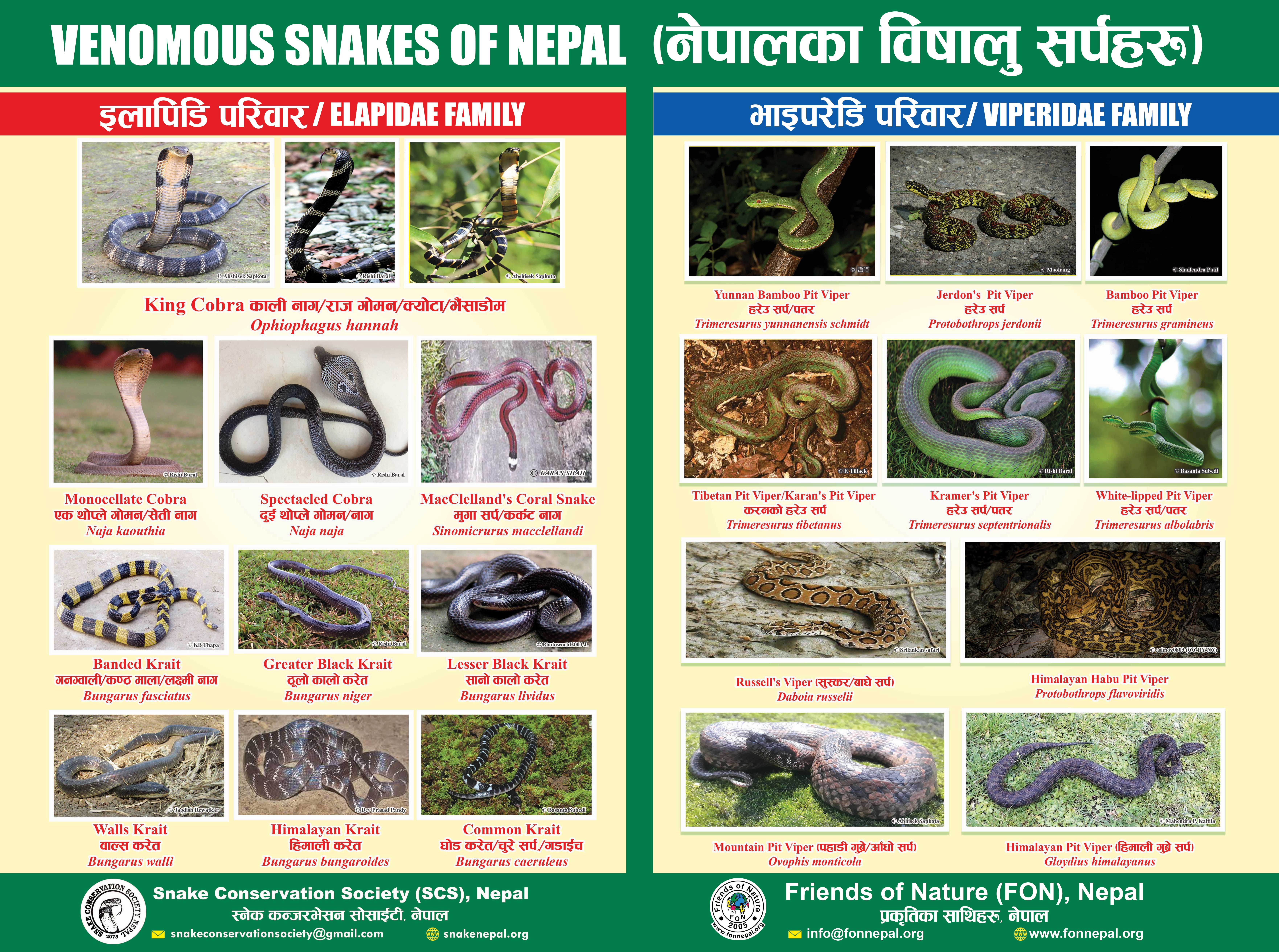 Venomous Snakes of Nepal