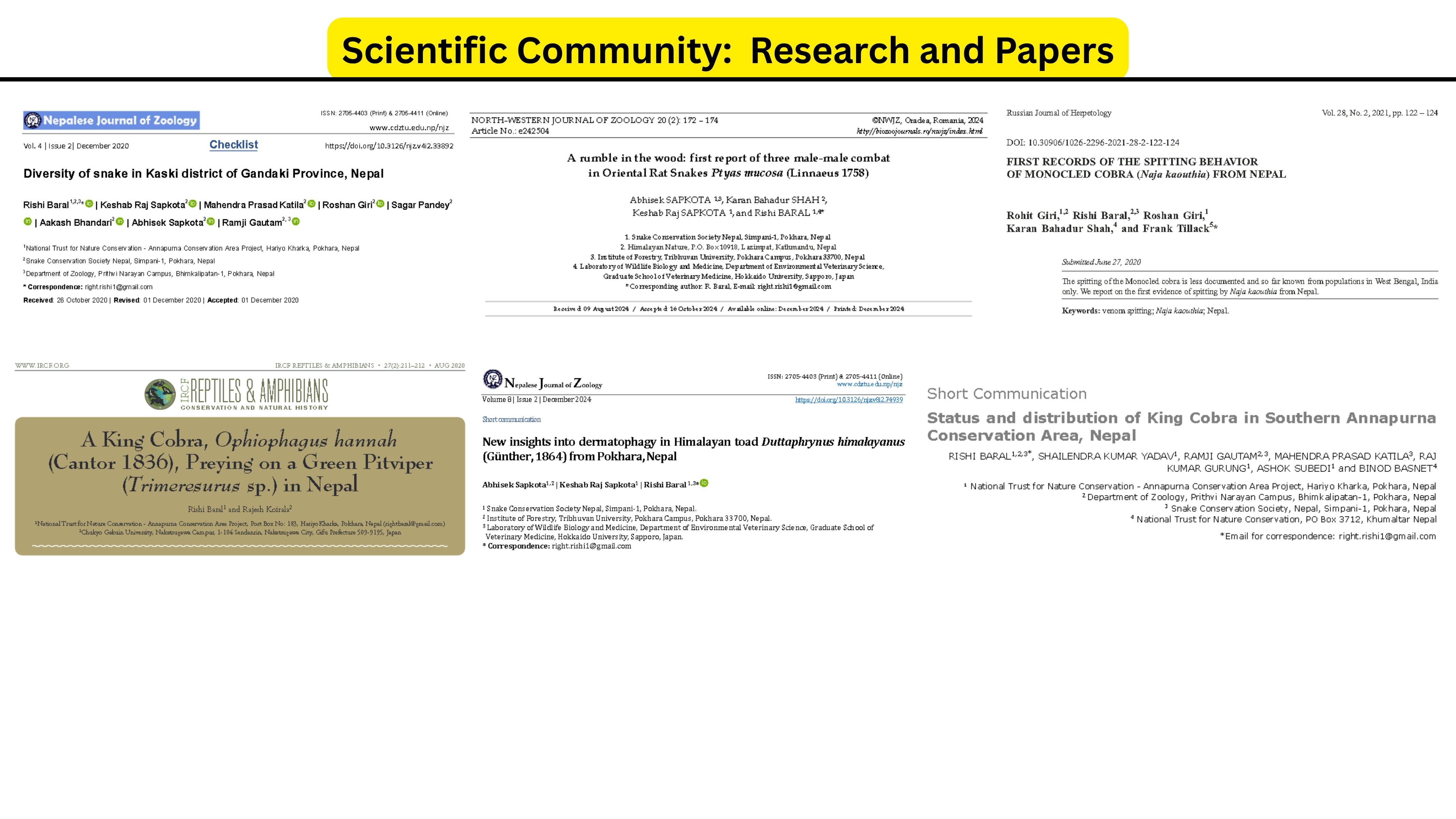 Research Articles