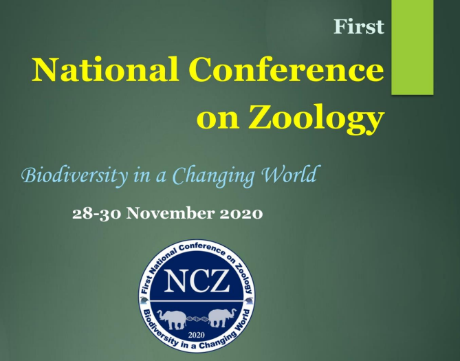 Conference Participation